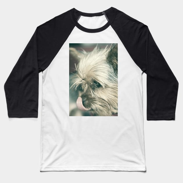 dog Baseball T-Shirt by luilli